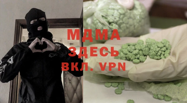 спиды Ельня