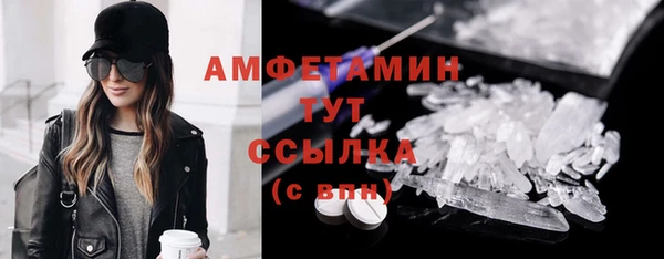 спиды Ельня