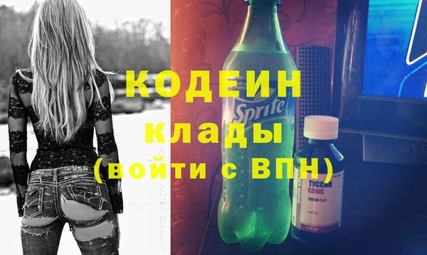 спиды Ельня