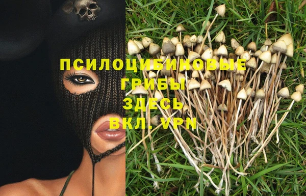 соль ск Елизово