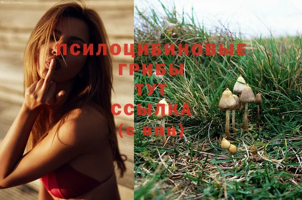 альфа пвп Елабуга
