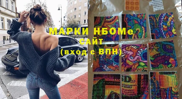 спиды Ельня