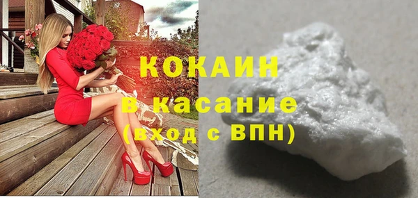 спиды Ельня