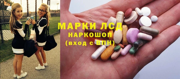 спиды Ельня