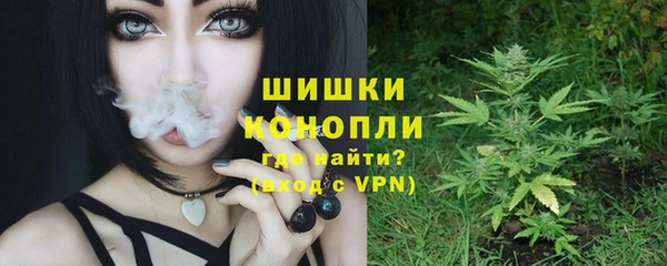спиды Ельня