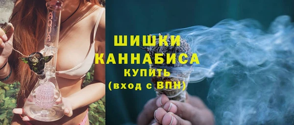 спиды Ельня
