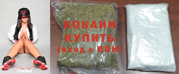 спиды Ельня