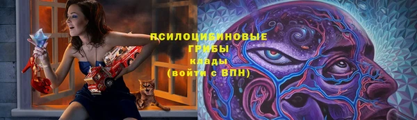 соль ск Елизово