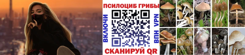 Купить где Андреаполь Галлюциногенные грибы Psilocybe